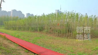 新地標(biāo) 西安城區(qū)最大公園國(guó)慶開園 規(guī)劃面積達(dá)1700畝