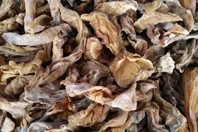 天津這個(gè)區(qū),未來將在全國出名 可它卻活生生的被名字給坑慘了