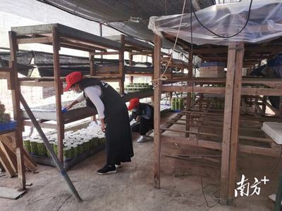加強禁種鏟毒排查工作力度!湖光鎮(zhèn)對一加工廠進行專項檢查