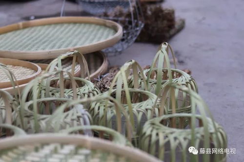 藤縣人,到了今天,你還會(huì)記得他們嗎