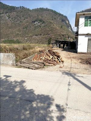 2018農(nóng)村5萬(wàn)元成本小型加工廠項(xiàng)目(一個(gè)月收入2萬(wàn))