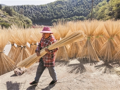 奉化做強(qiáng)竹產(chǎn)業(yè) 助力山鄉(xiāng)振興